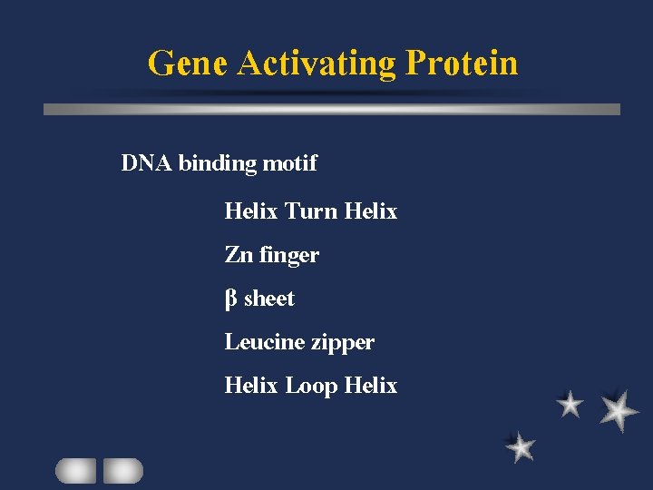 Gene Activating Protein DNA binding motif Helix Turn Helix Zn finger β sheet Leucine