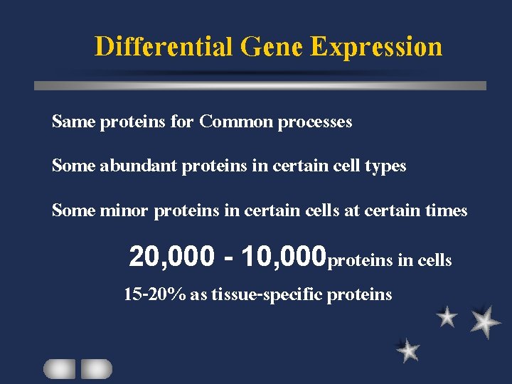 Differential Gene Expression Same proteins for Common processes Some abundant proteins in certain cell