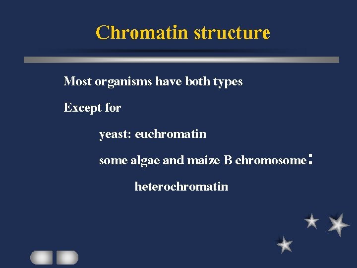 Chromatin structure Most organisms have both types Except for yeast: euchromatin some algae and