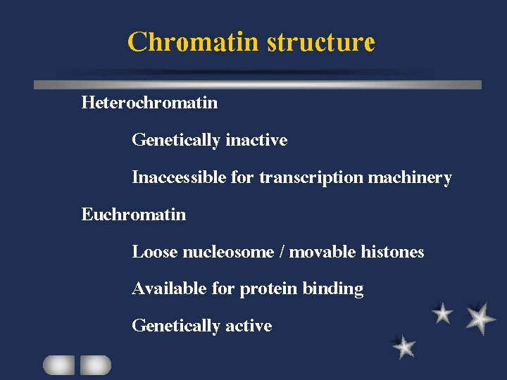 Chromatin structure Heterochromatin Genetically inactive Inaccessible for transcription machinery Euchromatin Loose nucleosome / movable