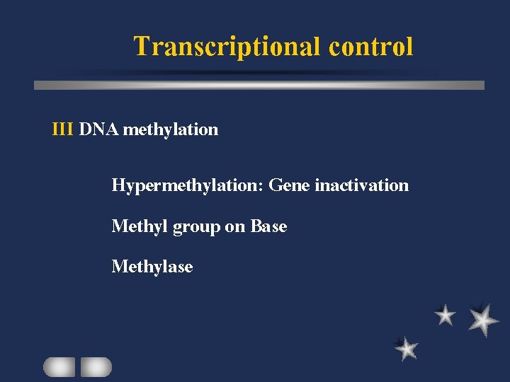 Transcriptional control III DNA methylation Hypermethylation: Gene inactivation Methyl group on Base Methylase 