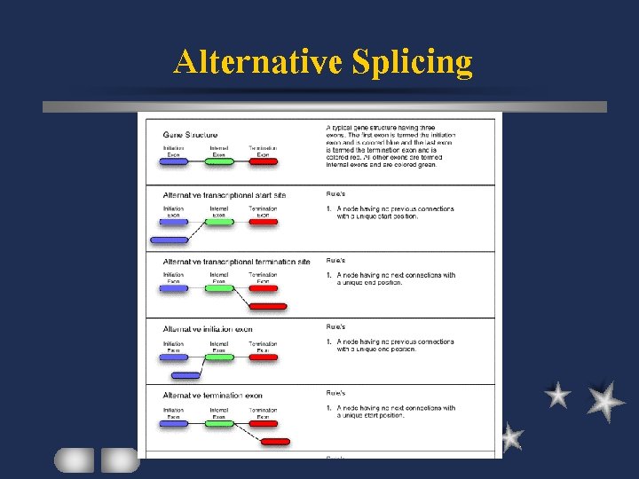 Alternative Splicing 