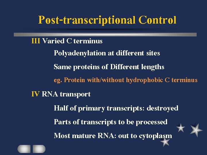 Post-transcriptional Control III Varied C terminus Polyadenylation at different sites Same proteins of Different