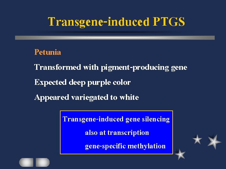 Transgene-induced PTGS Petunia Transformed with pigment-producing gene Expected deep purple color Appeared variegated to