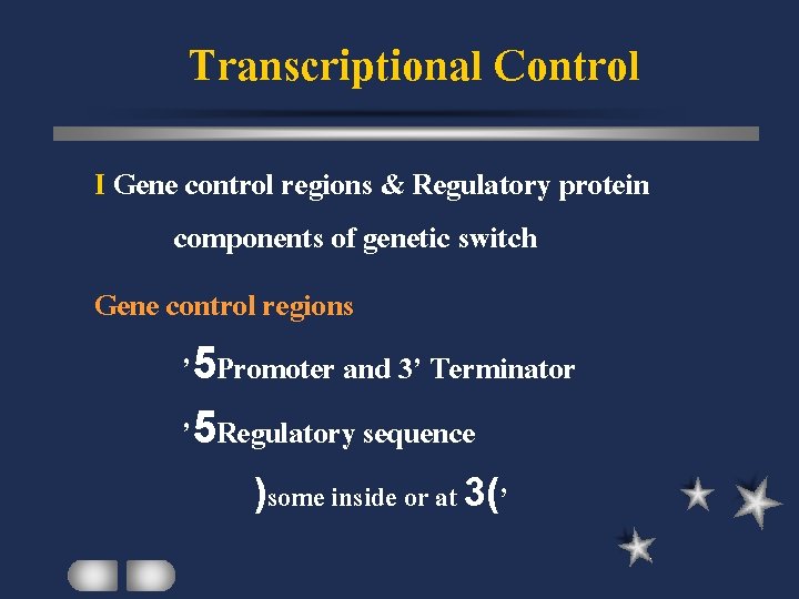 Transcriptional Control I Gene control regions & Regulatory protein components of genetic switch Gene