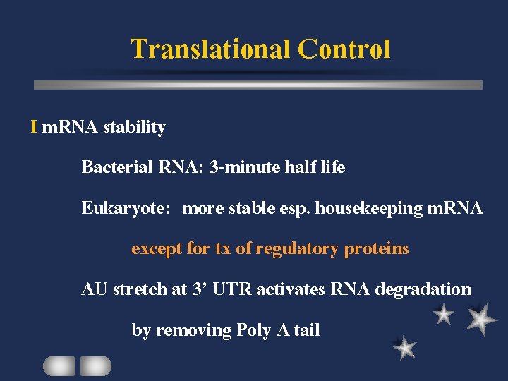 Translational Control I m. RNA stability Bacterial RNA: 3 -minute half life Eukaryote: more