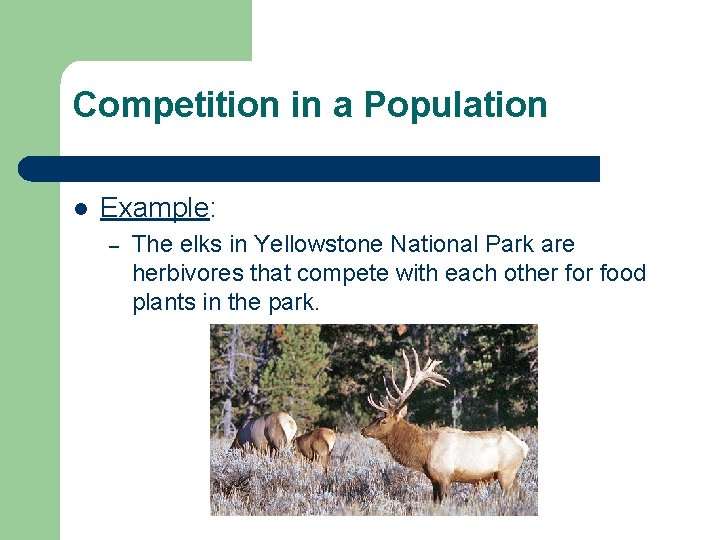 Competition in a Population l Example: – The elks in Yellowstone National Park are