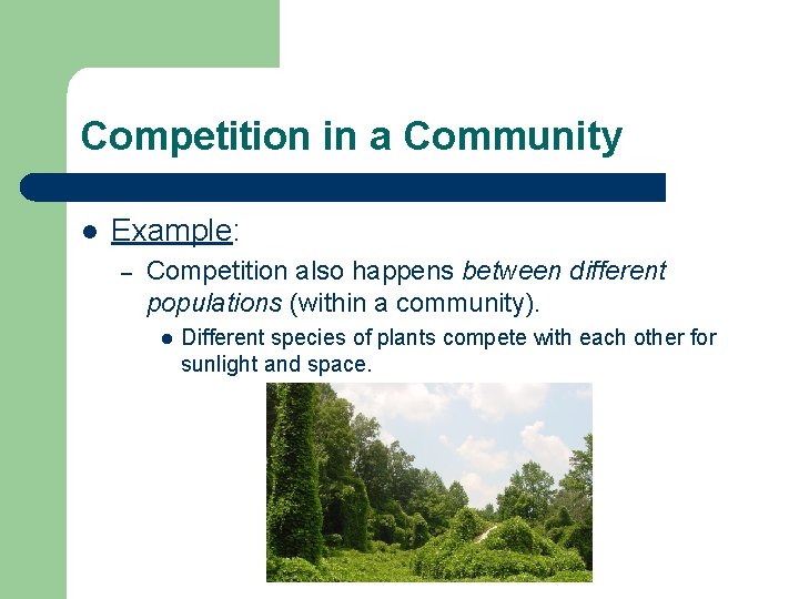 Competition in a Community l Example: – Competition also happens between different populations (within
