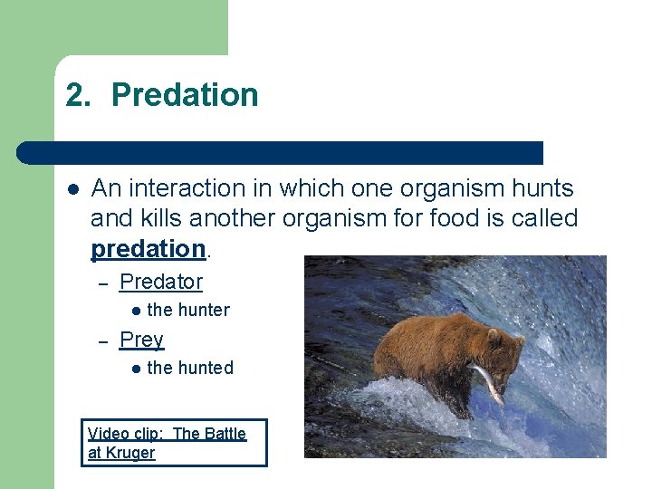 2. Predation l An interaction in which one organism hunts and kills another organism