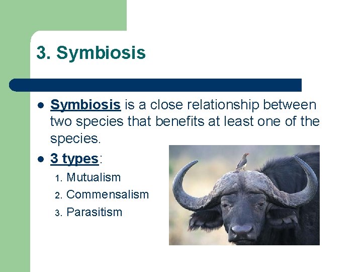 3. Symbiosis l l Symbiosis is a close relationship between two species that benefits