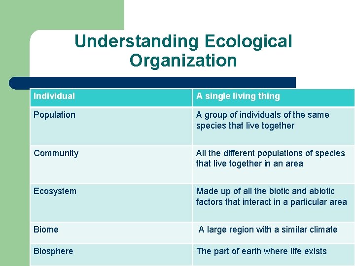 Understanding Ecological Organization Individual A single living thing Population A group of individuals of