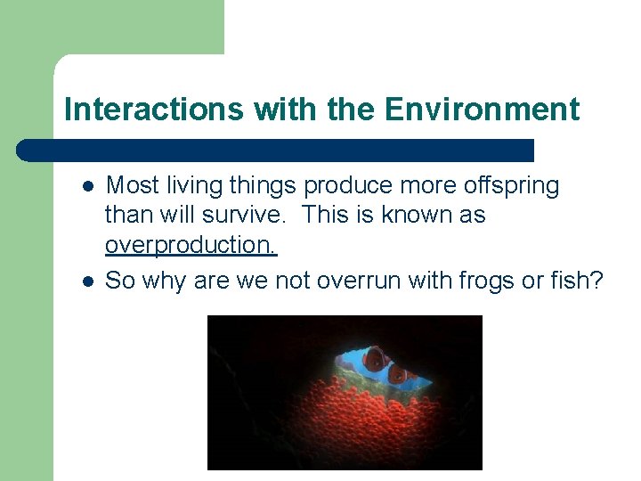Interactions with the Environment l l Most living things produce more offspring than will