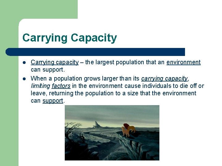 Carrying Capacity l l Carrying capacity – the largest population that an environment can