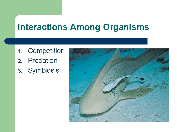 Interactions Among Organisms 1. 2. 3. Competition Predation Symbiosis 