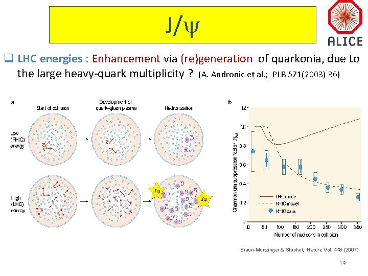 J/ q LHC energies : Enhancement via (re)generation of quarkonia, due to the large