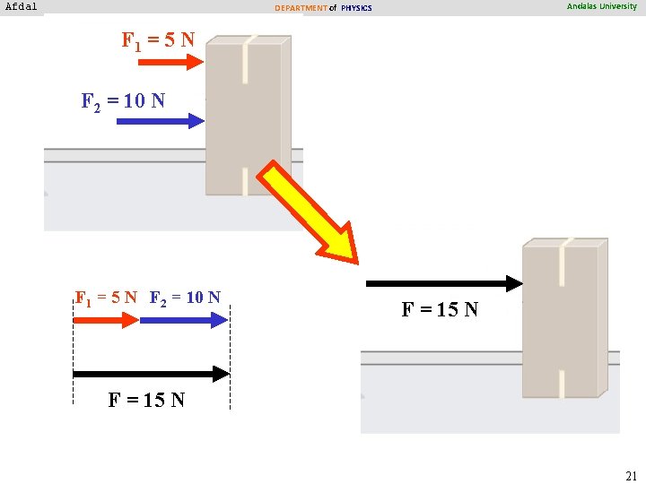 Afdal Andalas University DEPARTMENT of PHYSICS F 1 = 5 N F 2 =