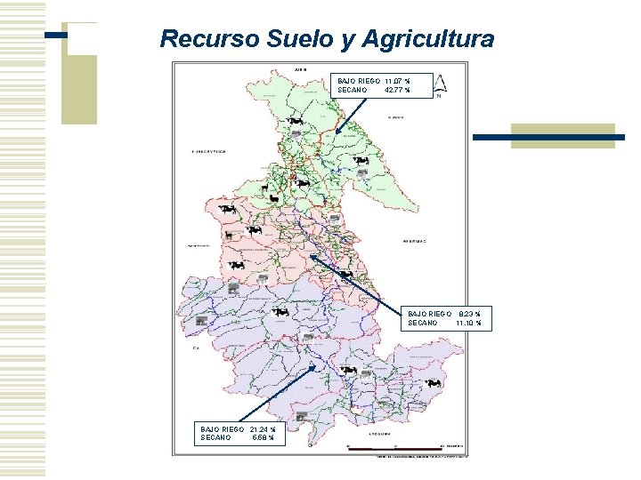 Recurso Suelo y Agricultura BAJO RIEGO 11. 07 % SECANO 42. 77 % BAJO