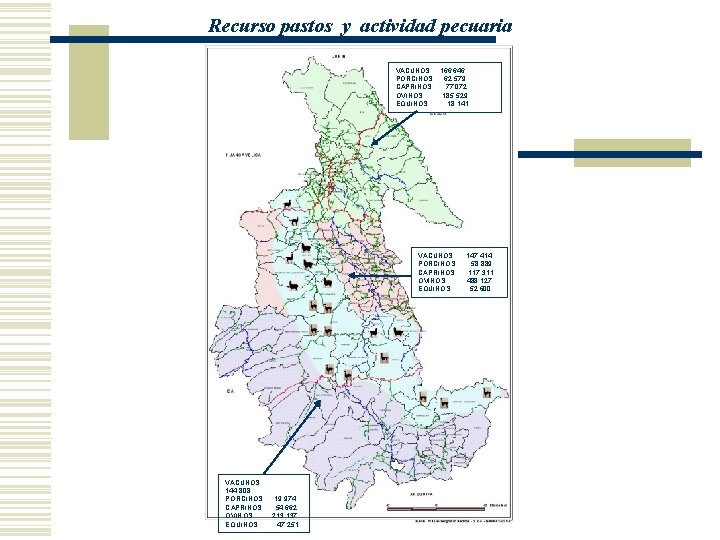 Recurso pastos y actividad pecuaria VACUNOS 166, 646 PORCINOS 62, 579 CAPRINOS 77, 072