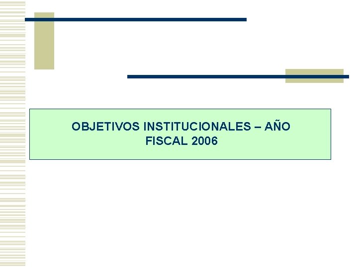 OBJETIVOS INSTITUCIONALES – AÑO FISCAL 2006 