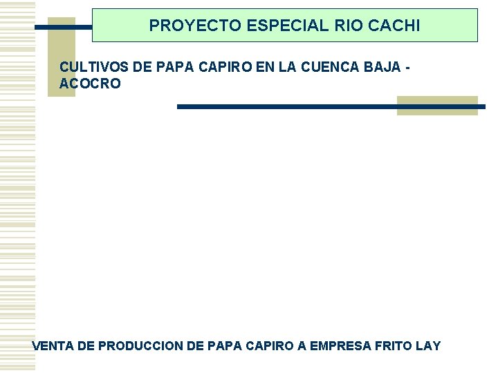 PROYECTO ESPECIAL RIO CACHI CULTIVOS DE PAPA CAPIRO EN LA CUENCA BAJA ACOCRO VENTA