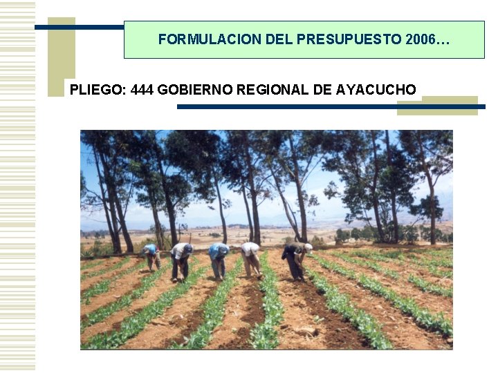 FORMULACION DEL PRESUPUESTO 2006… PLIEGO: 444 GOBIERNO REGIONAL DE AYACUCHO 