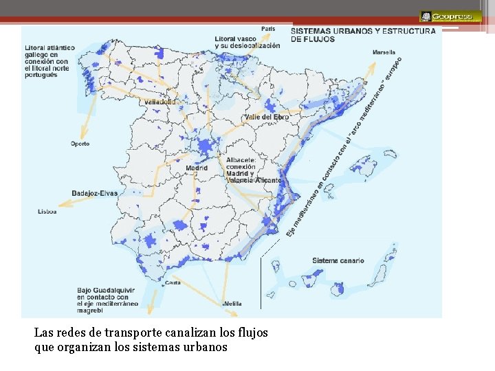 Transporte Las redes de transporte canalizan los flujos que organizan los sistemas urbanos 