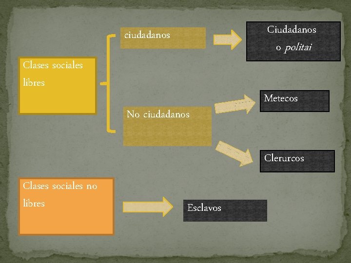 Ciudadanos o politai ciudadanos Clases sociales libres No ciudadanos Metecos Clerurcos Clases sociales no