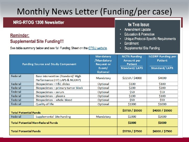 Monthly News Letter (Funding/per case) 