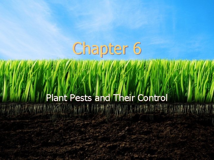 Chapter 6 Plant Pests and Their Control 