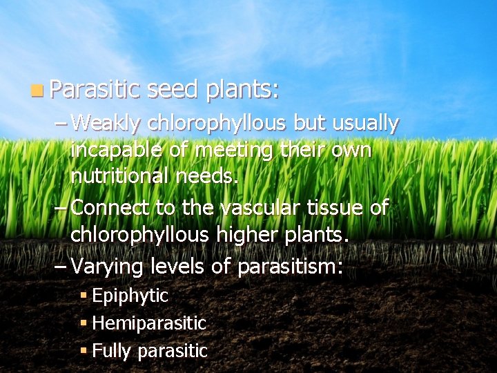 n Parasitic seed plants: – Weakly chlorophyllous but usually incapable of meeting their own