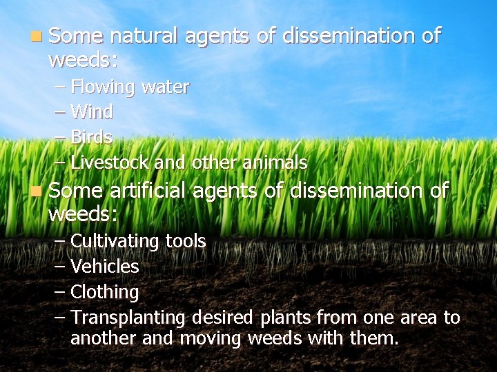 n Some natural agents of dissemination of weeds: – Flowing water – Wind –