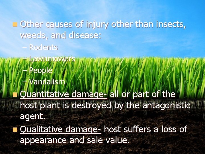 n Other causes of injury other than insects, weeds, and disease: – Rodents –