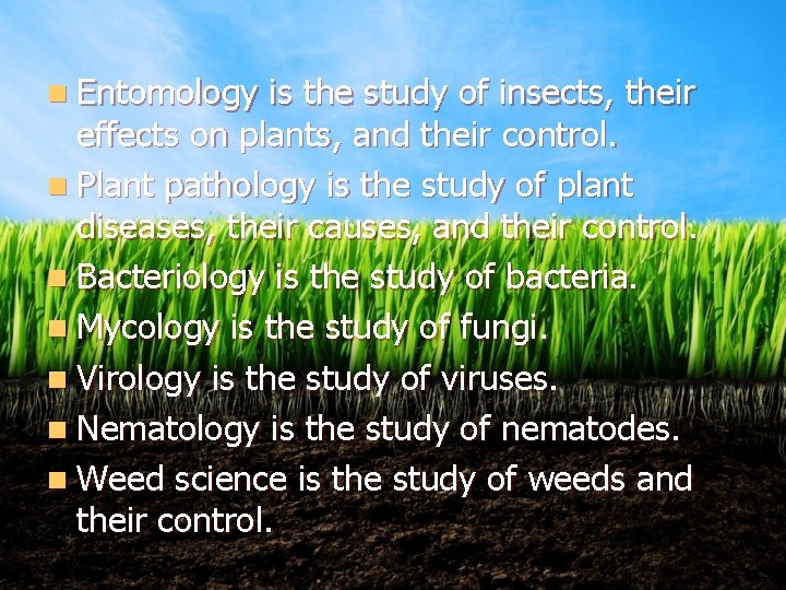 n Entomology is the study of insects, their effects on plants, and their control.