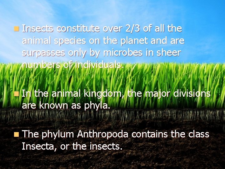 n Insects constitute over 2/3 of all the animal species on the planet and