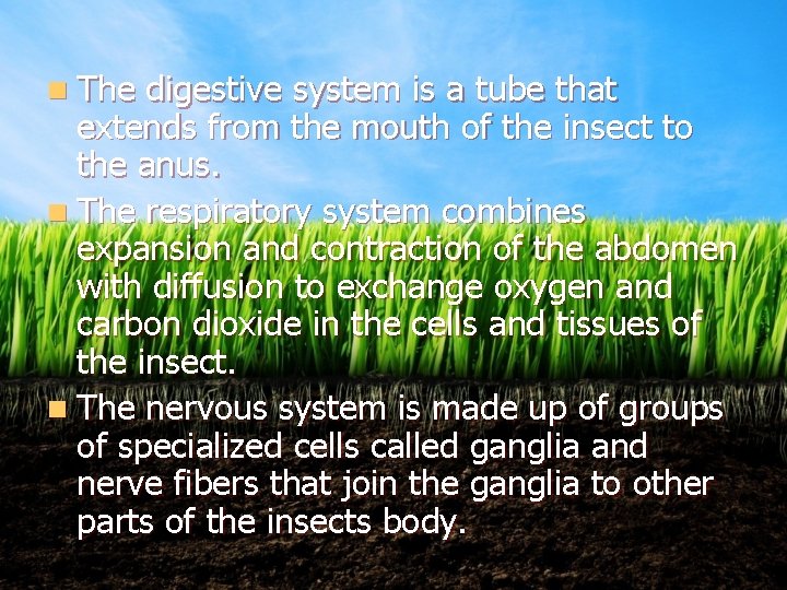 n The digestive system is a tube that extends from the mouth of the