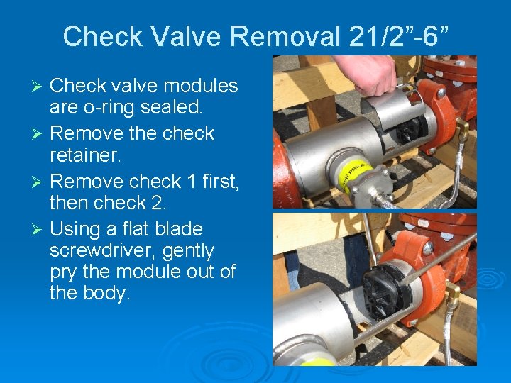 Check Valve Removal 21/2”-6” Check valve modules are o-ring sealed. Ø Remove the check