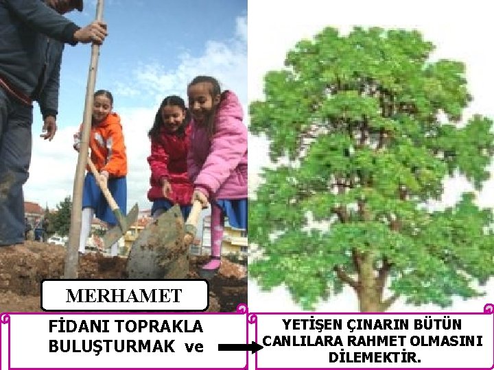 MERHAMET FİDANI TOPRAKLA BULUŞTURMAK ve YETİŞEN ÇINARIN BÜTÜN CANLILARA RAHMET OLMASINI DİLEMEKTİR. 