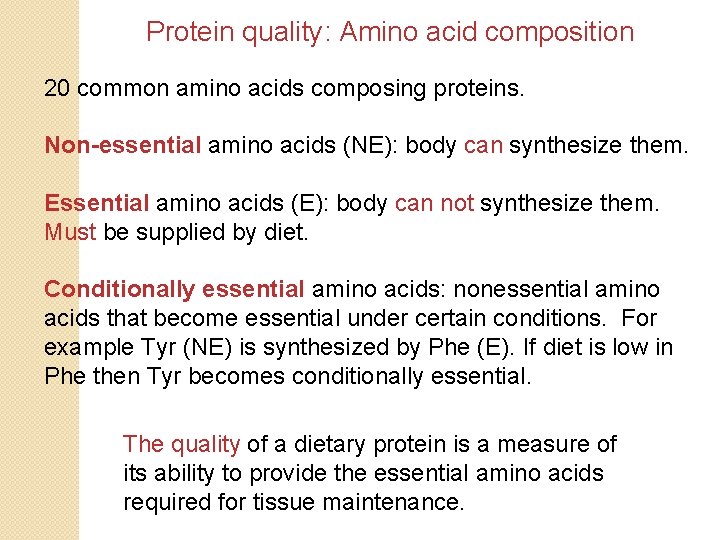 Protein quality: Amino acid composition 20 common amino acids composing proteins. Non-essential amino acids