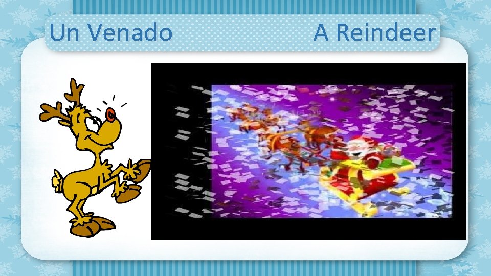 Un Venado A Reindeer 