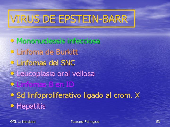 VIRUS DE EPSTEIN-BARR • Mononucleosis infecciosa • Linfoma de Burkitt • Linfomas del SNC
