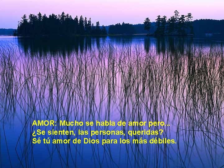 AMOR: Mucho se habla de amor pero. . . ¿Se sienten, las personas, queridas?