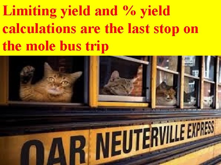 Limiting yield and % yield calculations are the last stop on the mole bus
