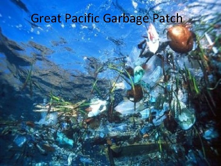 Great Pacific Garbage Patch 