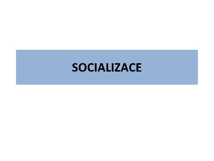 SOCIALIZACE 