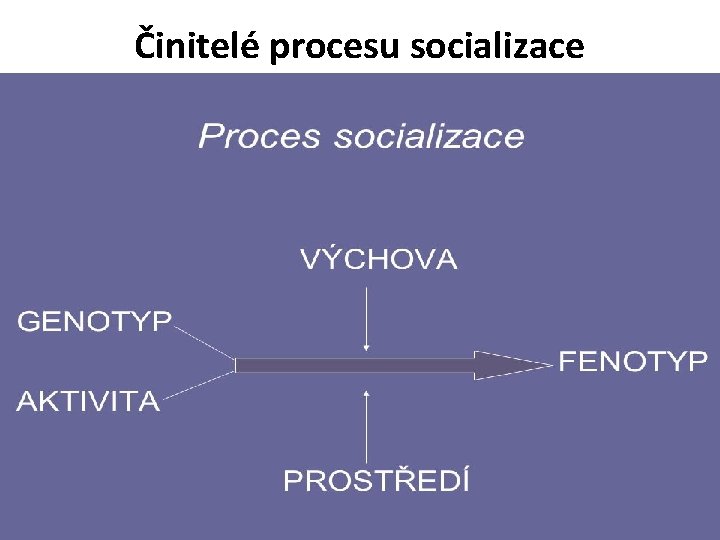 Činitelé procesu socializace 