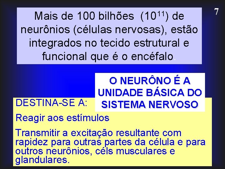 (1011) Mais de 100 bilhões de neurônios (células nervosas), estão integrados no tecido estrutural