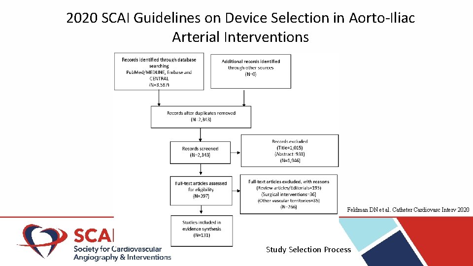 2020 SCAI Guidelines on Device Selection in Aorto-Iliac Arterial Interventions Feldman DN et al.