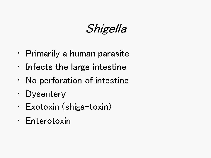 Shigella • • • Primarily a human parasite Infects the large intestine No perforation