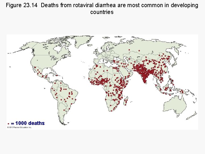Figure 23. 14 Deaths from rotaviral diarrhea are most common in developing countries 1000
