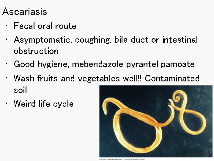 Ascariasis • Fecal oral route • Asymptomatic, coughing, bile duct or intestinal obstruction •